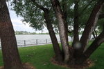 IMG_2185.JPG