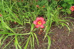 IMG_2190.JPG
