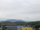 IMG_3013.jpeg