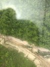 IMG_3066.jpeg