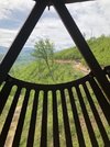 IMG_3057.jpeg