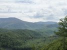 IMG_3059.jpeg
