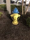 IMG_3097.jpeg