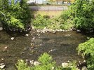 IMG_3034.jpeg
