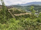 IMG_3049.jpeg