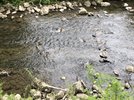 IMG_3073.jpeg