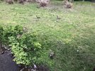IMG_3116.jpeg