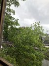 IMG_3134.jpeg