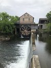 IMG_3123.jpeg