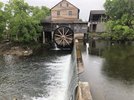 IMG_3122.jpeg
