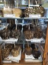 IMG_3075.jpeg