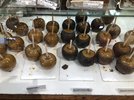IMG_3076.jpeg
