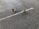 IMG_3169.jpeg