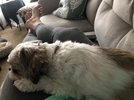 IMG_3208.jpeg