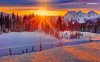 fire-sunset-on-the-snowy-forest-6987-1280x800.jpeg