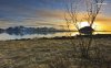 grass-covered-lake-shore-in-the-sunset-6750-1280x800.jpeg