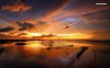 amazing-sunset-on-the-aquaculture-6706-1280x800.jpeg