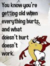 FB_IMG_1683234549751.jpg