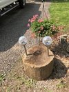 IMG_3445.jpeg