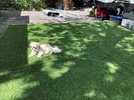 IMG_3471.jpeg