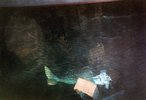 IMG_9793.jpeg