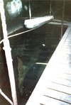 IMG_9794.jpeg