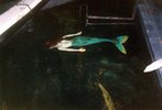 IMG_9792.jpeg
