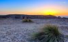 gorgeous-sunset-on-the-shore-6875-1280x800.jpeg