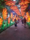 20230715_194749.jpg