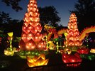 IMG_1280.jpeg