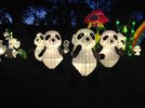 IMG_1273.jpeg