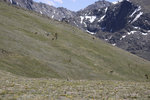 IMG_7916.jpeg