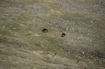 IMG_7917.jpeg
