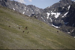 IMG_7918.jpeg