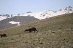 IMG_7919.jpeg