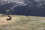 IMG_7923.jpeg