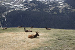 IMG_7924.jpeg