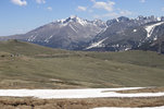 IMG_7930.jpeg