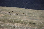 IMG_7932.jpeg