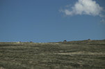 IMG_7933.jpeg