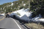 IMG_7934.jpeg