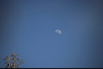 IMG_7936.jpeg