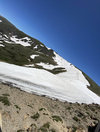 IMG_7950.jpeg