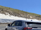 IMG_7953.jpeg
