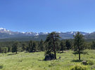 IMG_7955.jpeg