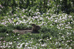 IMG_7963.jpeg