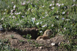 IMG_7965.jpeg
