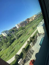 IMG_7982.jpeg