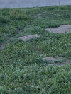 IMG_7979.jpeg