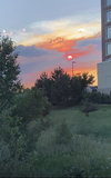 IMG_7968.jpeg